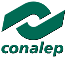 PORTAL DE ACTIVIDADES
